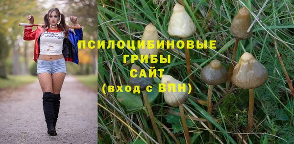 а пвп мука Абдулино