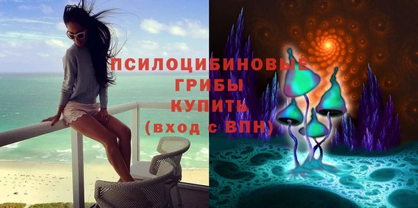 дживик Абаза