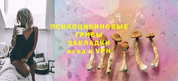 СК Алексеевка