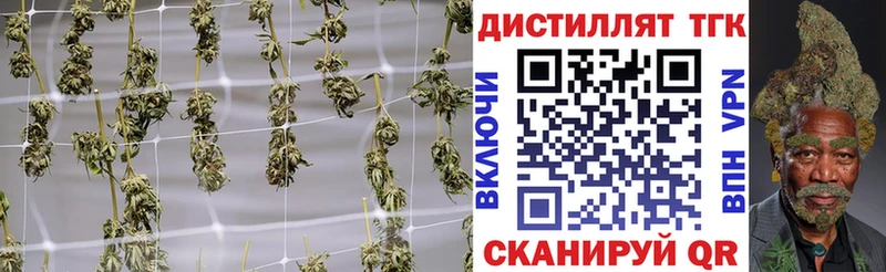 цены   площадка Telegram  ТГК жижа  Новоалександровск 