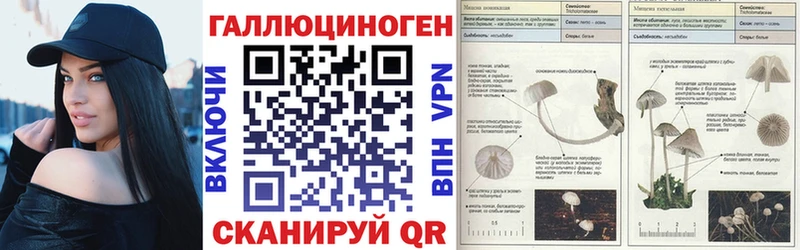 Псилоцибиновые грибы Magic Shrooms  наркошоп  Новоалександровск 