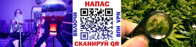 Марихуана конопля Новоалександровск
